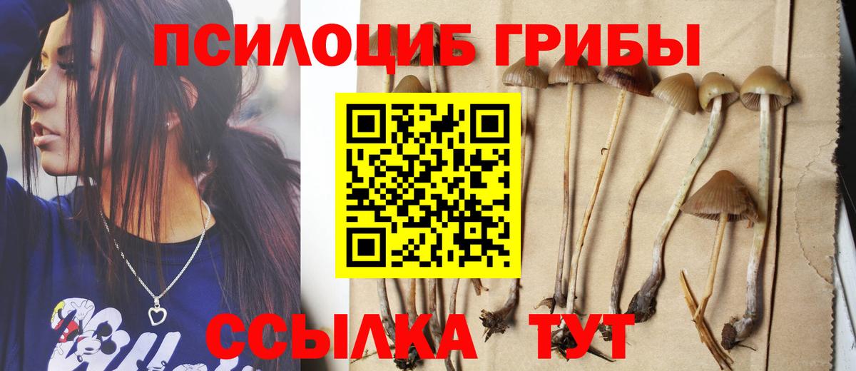 Галлюциногенные грибы мицелий  Псилоцибиновые грибы прущие грибы  Вход с VPN  Благодарный 